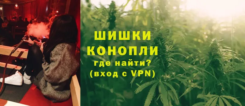 где найти   Белый  Канабис OG Kush 